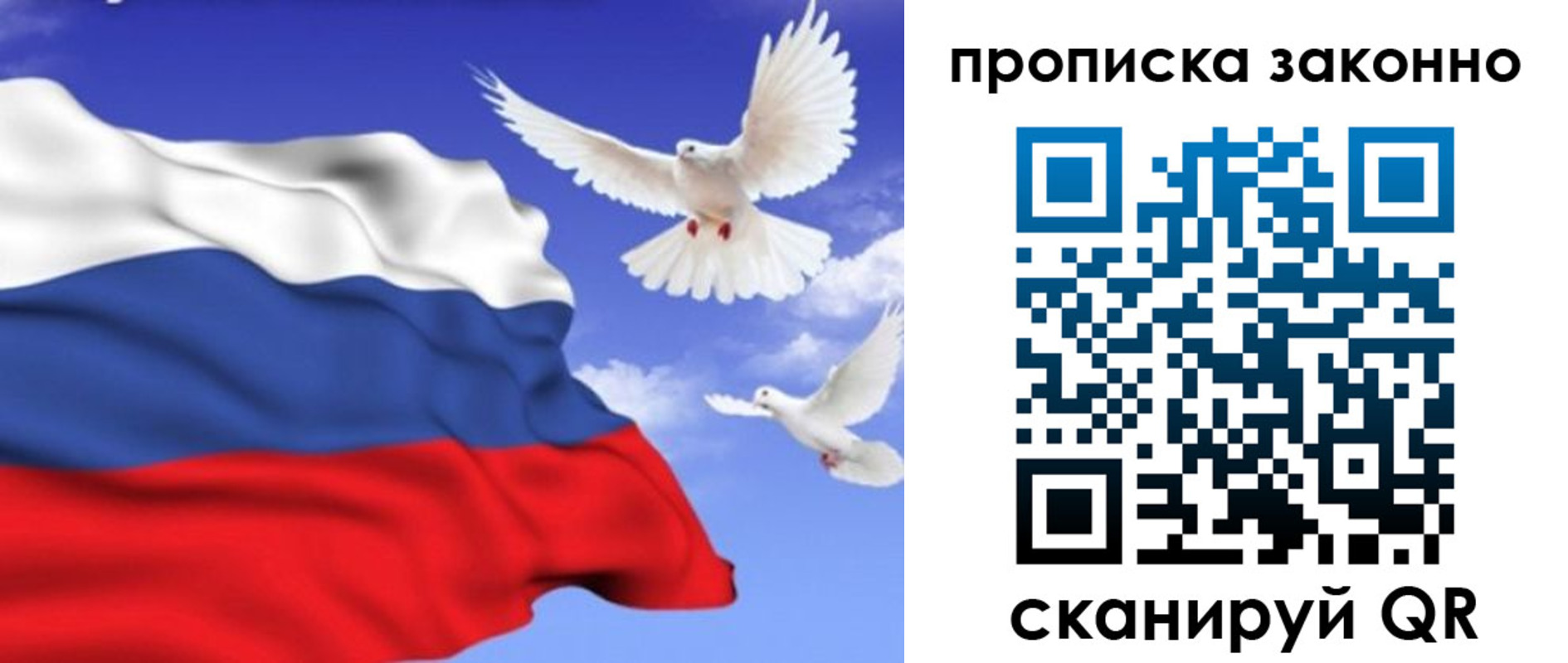 прописка в Окуловке